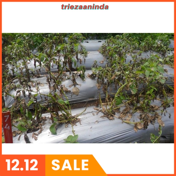 Agen Hayati Trichoderma 1KG, Tricoderma Trikoderma Fungisida Organik