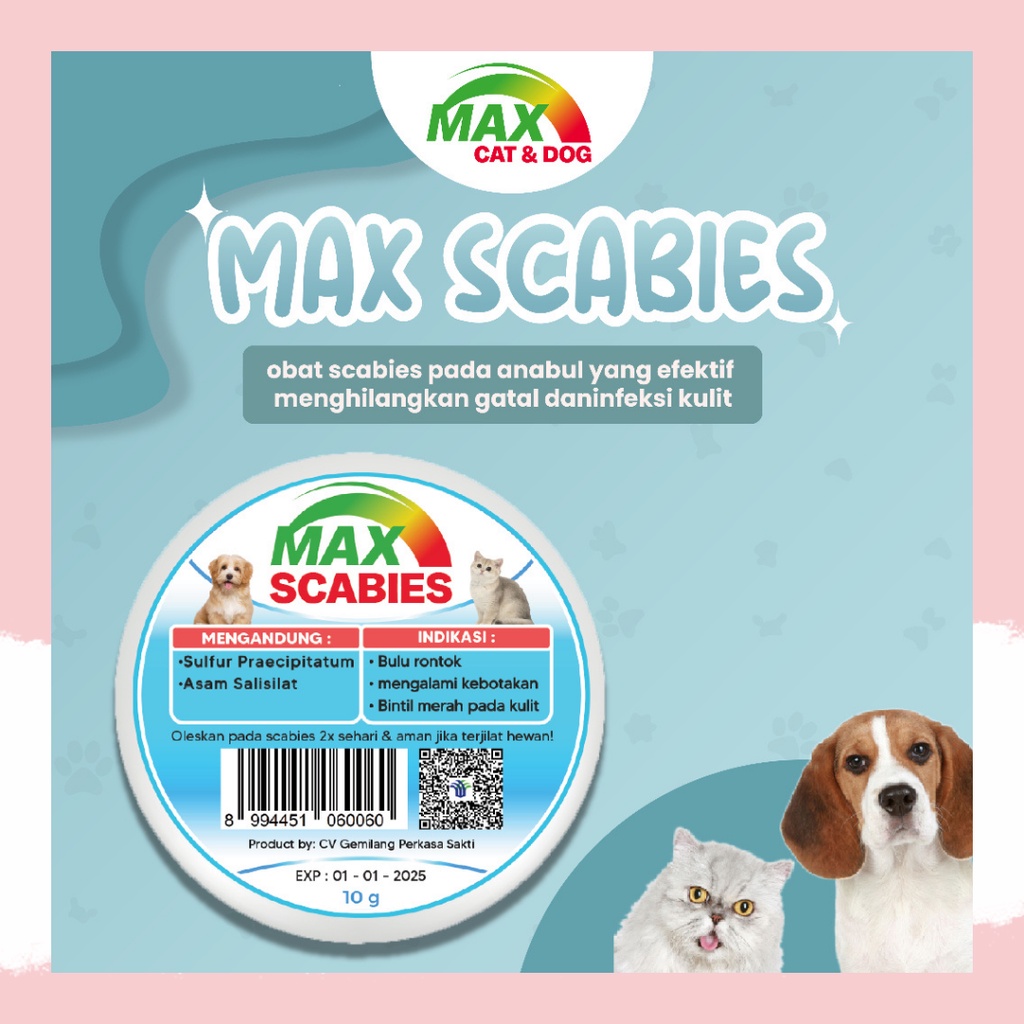 SALEP SCABIES OBAT KULIT JAMUR UNTUK KUCING DAN ANJING MAX