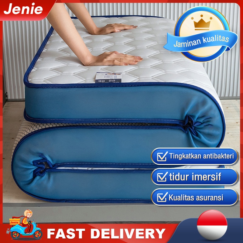 Amina- MURAH Kasur lantai Tebal 10cm Kasur Spring Bed Kasur 180x200cm Kasur Busa Kasur Latex Mattres