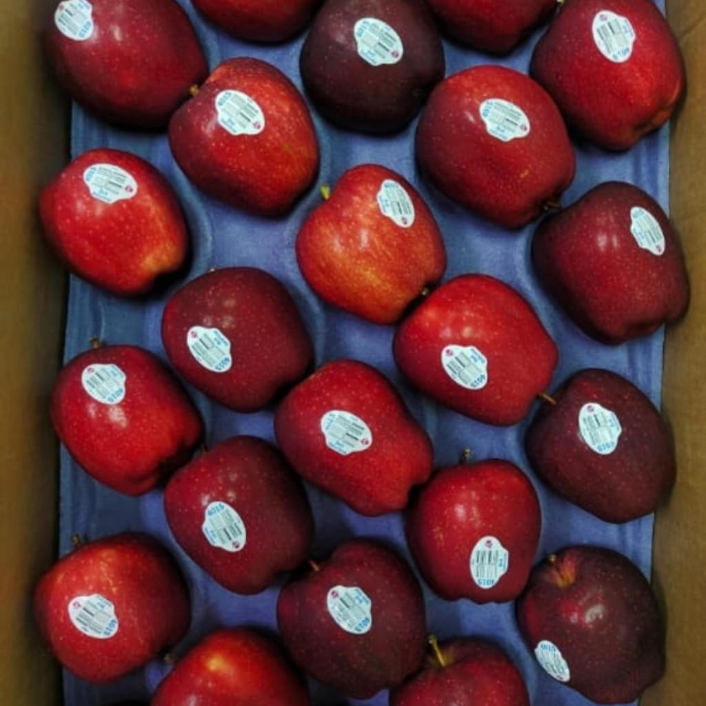 

Buah Apel Red Delicious USA Import 20 kg