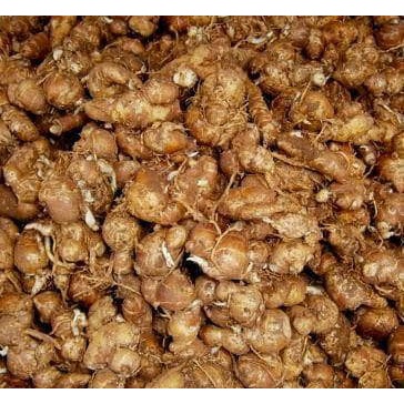 

1kg kencur segar fresh basah