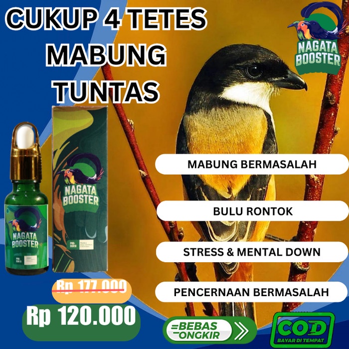 Nagata Booster VItamin Burung Cukup 4 Tetes Mabung Tuntas