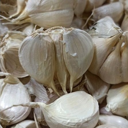 

bawang putih kating bersih 1kg