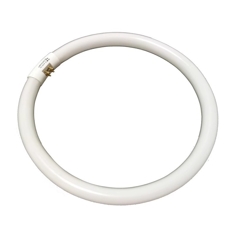 HoneyFly T5 Fluorescent Ring Tube Bulb 22W 32W 40W 6000K 182mm/240mm/273mm Diameter Annular Lamp Gla