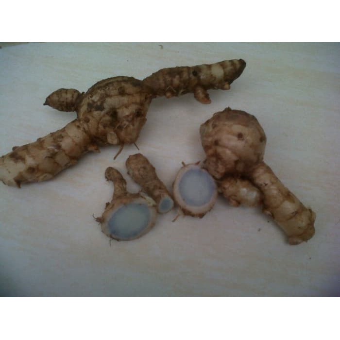 

Temu hitam segar 1 kg co ,