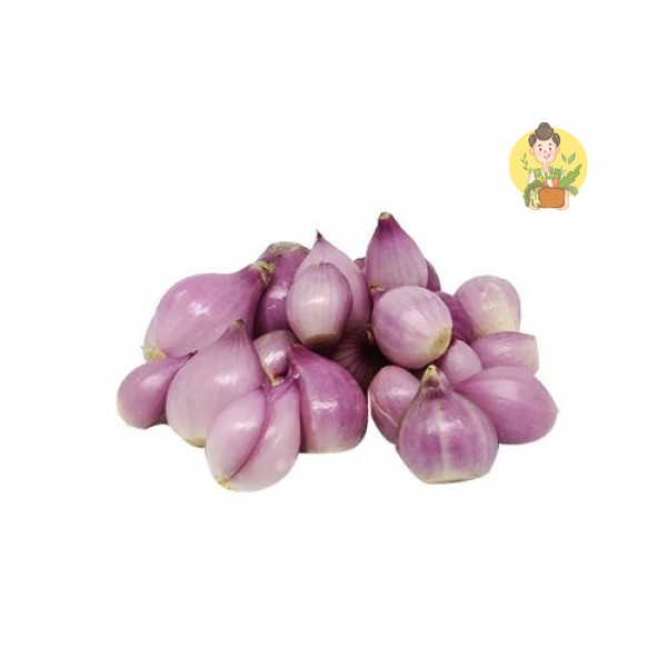 

Bawang Merah Kupas - Sayur Segar Instan Malang