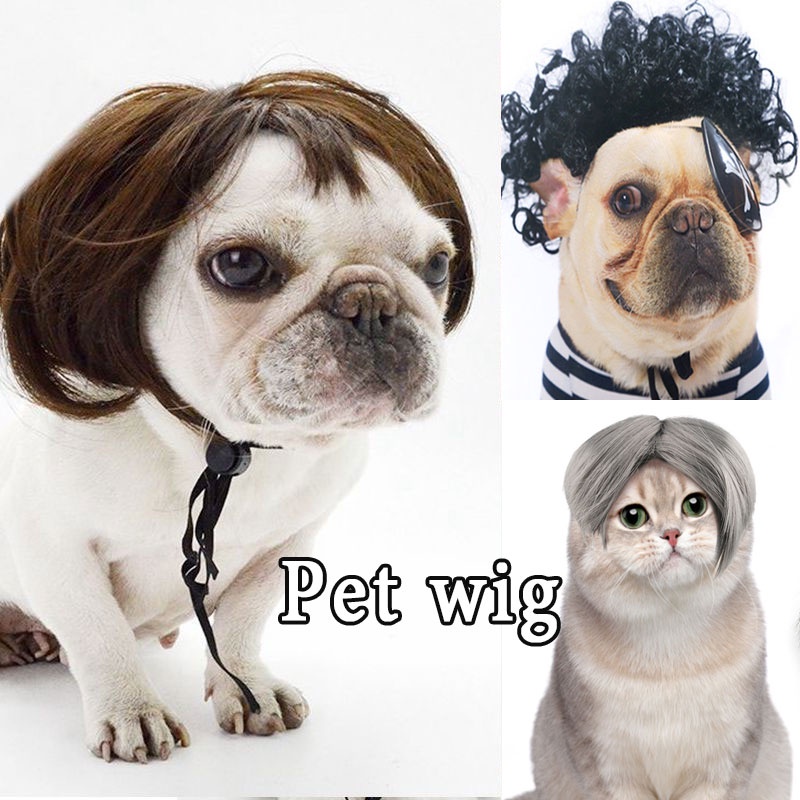 Pet wig / wig anjing dan wig kucing Cosplay Hewan Anjing Kucing kostum rambut palsu hewan