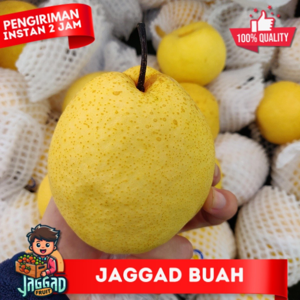 

Pear Sweet / Pear Madu / Buah Pir Fresh Manis Garing 1kg JAGGAD FRUIT