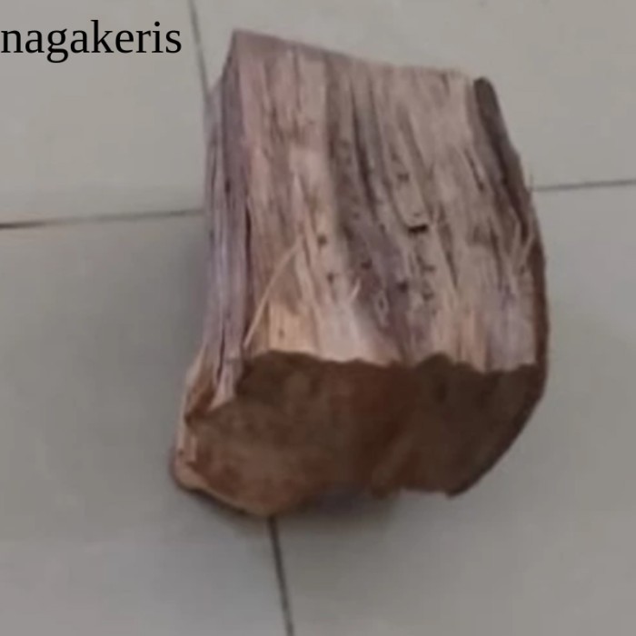 

DC12! Kayu Bakar Apel Firewood Panjang 10cm laris