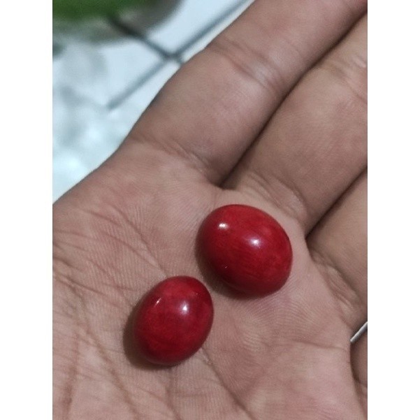 BATU CINCIN MARJAN LAUT MERAH MESIR