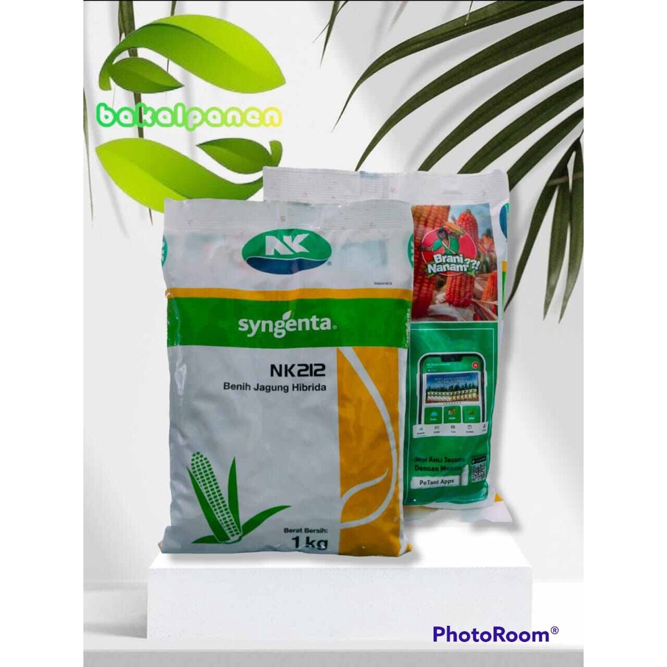 Benih bibit jagung hibrida Syngenta NK 212