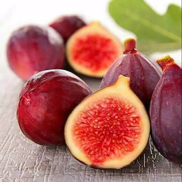 Bibit Buah Tin siap Berbuah (siap berbuah)