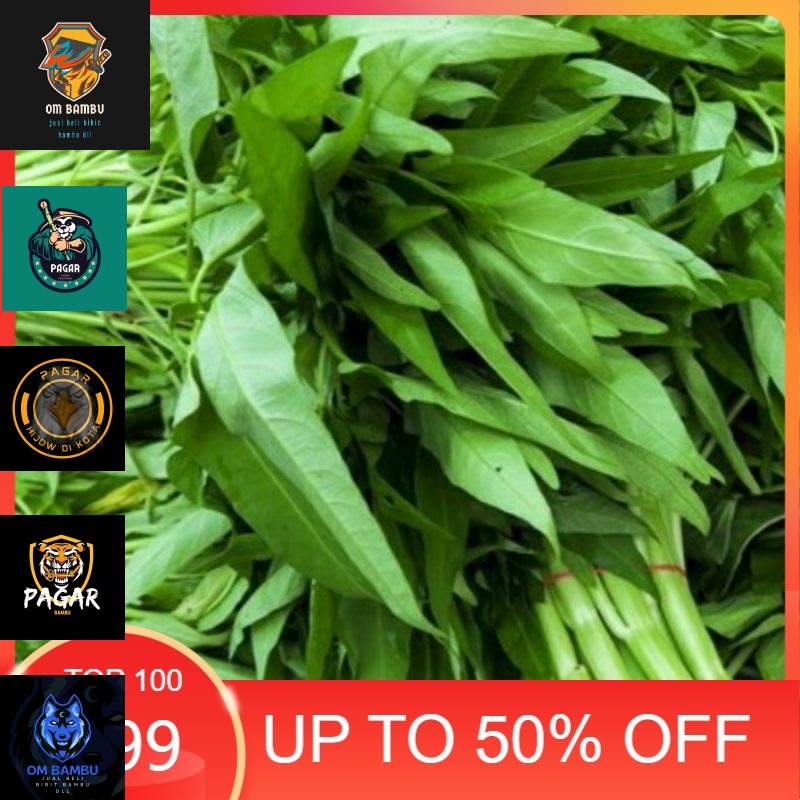 

Sayur Kangkung 5 Ikat 950 g #murah