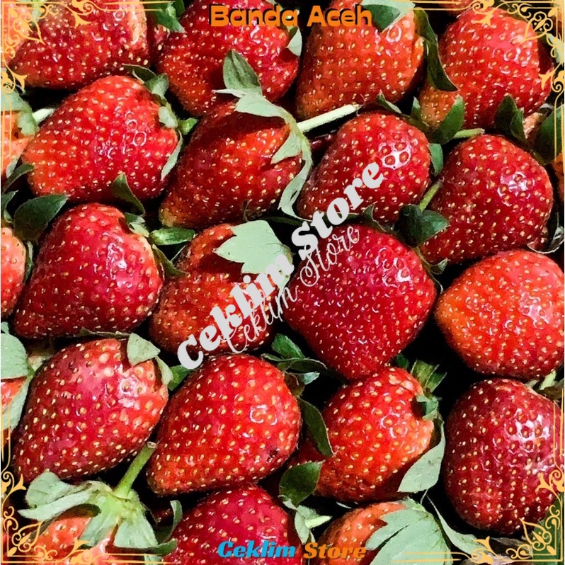

STRAWBERRY | BUAH STRAWBERRY | STRAWBERRY FRESH | (KHUSUS SAMEDAY DAN INSTAN)
