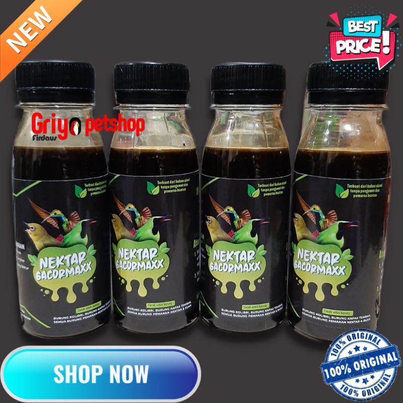 READY NEKTAR GACORMAXX NECTAR PAKAN MAKANAN BURUNG KOLIBRI KONIN SOGON TANPA KULKAS TANPA KROTO