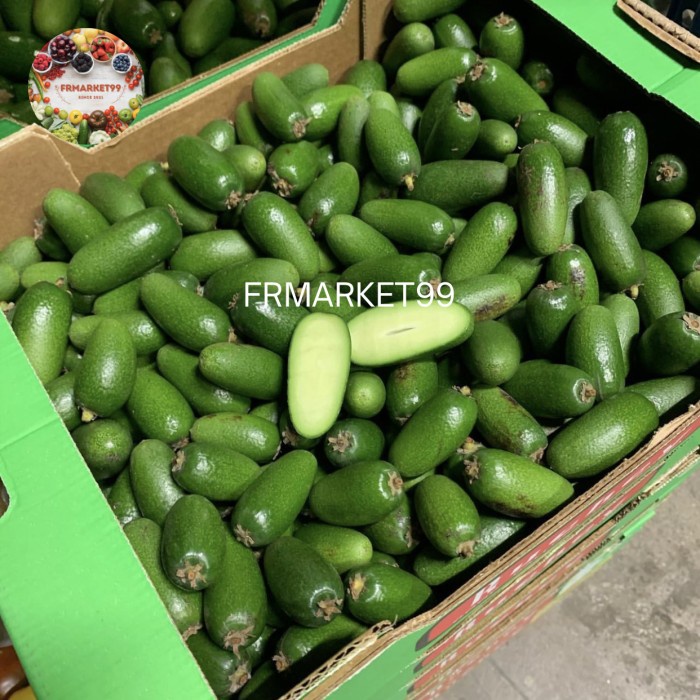 

Buah Alpukat Tanpa Biji import / Avocado Cocktail Fresh / 500 grm