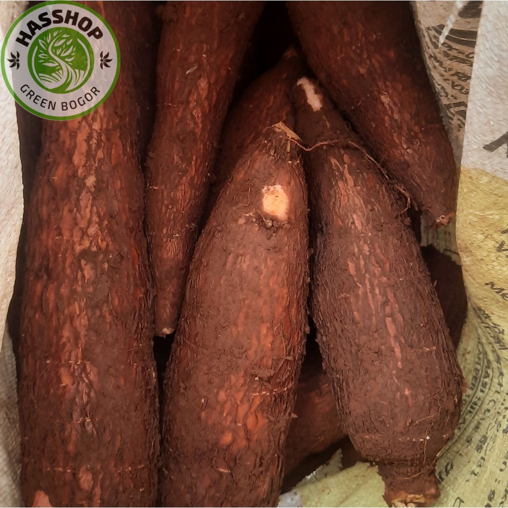 

Promo !!! Bisa (COD) Singkong pulen 1kg murah gratis ongkir