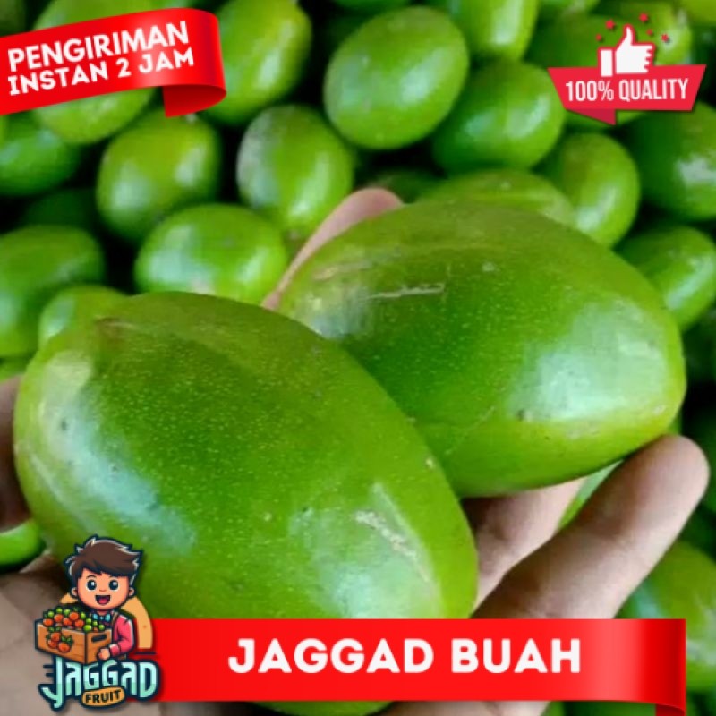 

kedondong bangkok 1 kg isi 567 JAGGAD FRUIT
