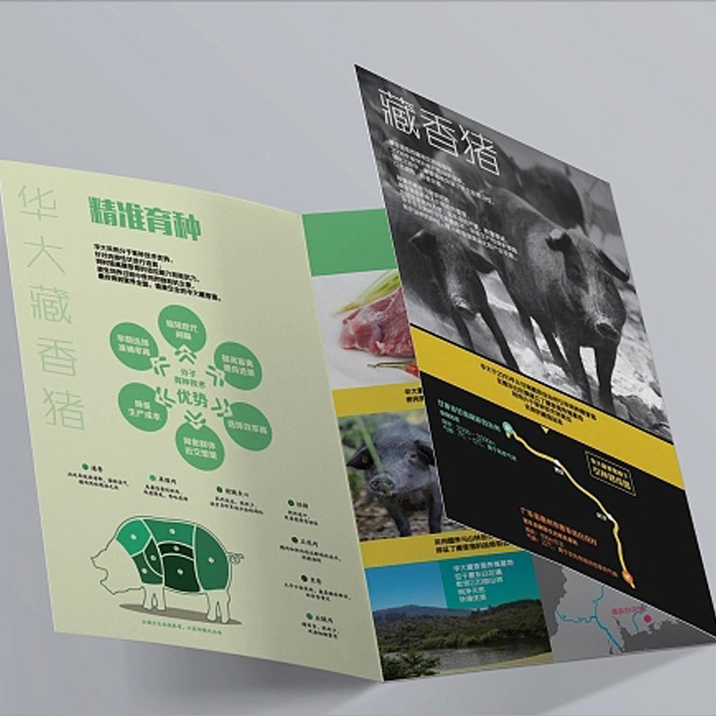 

Customized product.Custom Brochure/booklet/flyers/leaflet/pamphlet/book & Magazine Advertising Paper Printing Piece Service