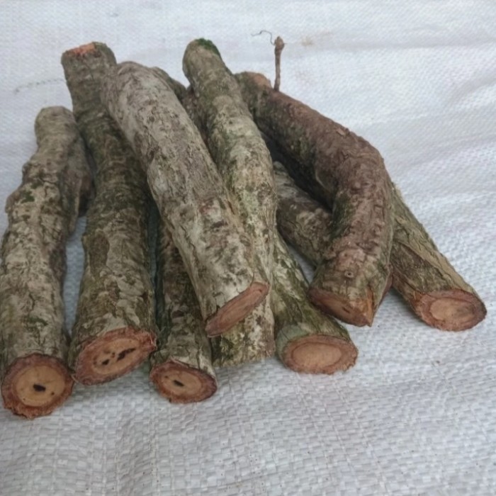 

Akar pohon kayu waru segar 1kg