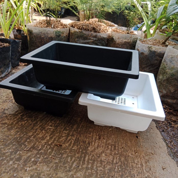 pot bonsai kotak plastik nkt 01, pot bonsai ceper murah bagus, tebel