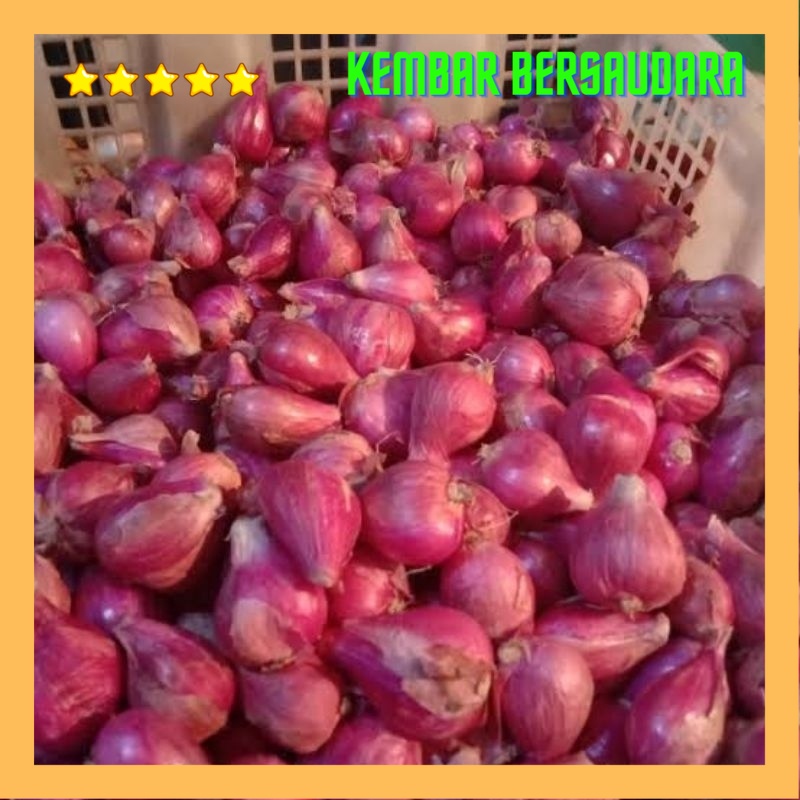 

bawang merah sedang 1kg