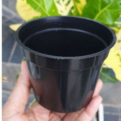 MDN BASIC HITAM POLOS 10cm pot bunga plastik basic biasa size 10 pot kecil mini murah grosir