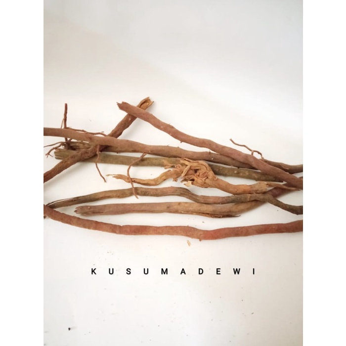 

Akar Aren / Peluluk 50 gram