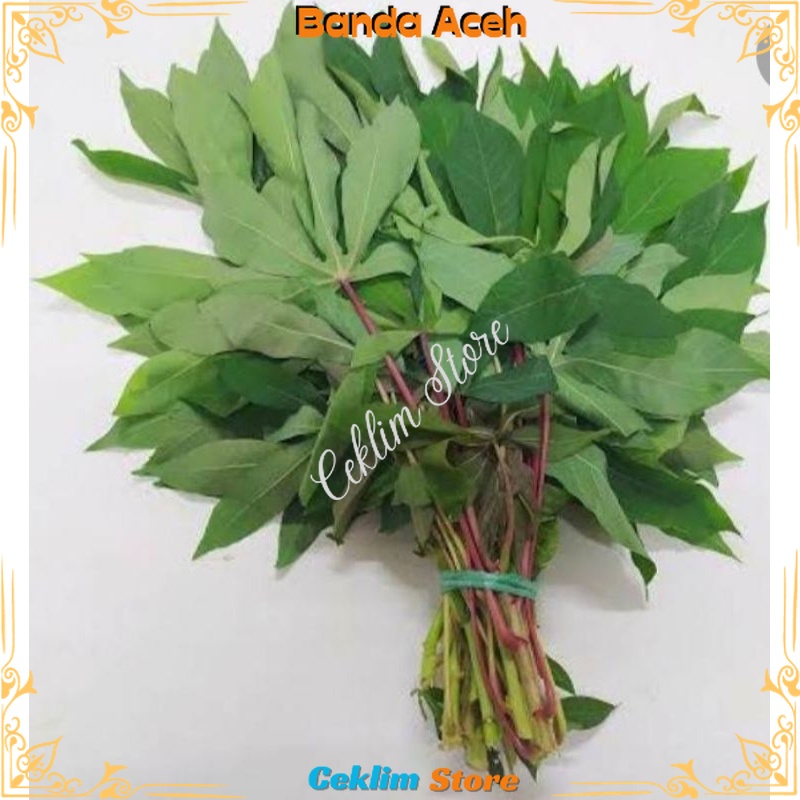 

daun singkong satu ikat