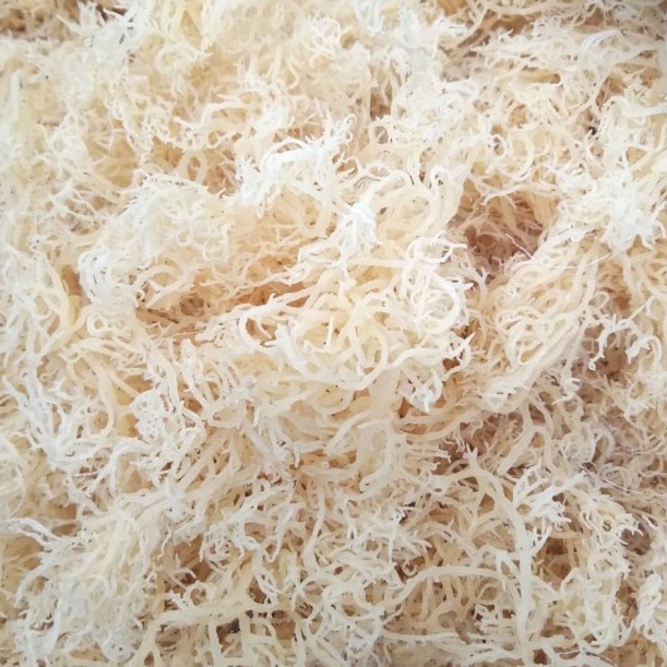 

Raw White Sea Moss / Rumput Laut Kering Putih Alami Natural Organik bisa COD