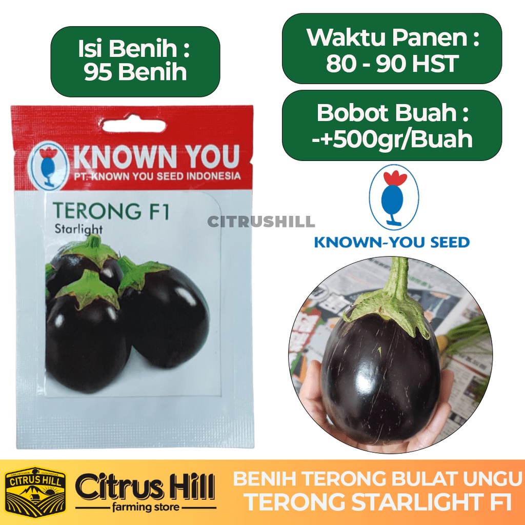 BENIH Terong Hitam bulat Hibrida STARLIGHT F1 100 Biji