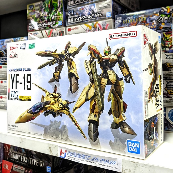 HG 1/100 YF-19 ( Macross Plus )