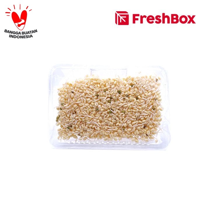 

Kecambah 100 gr