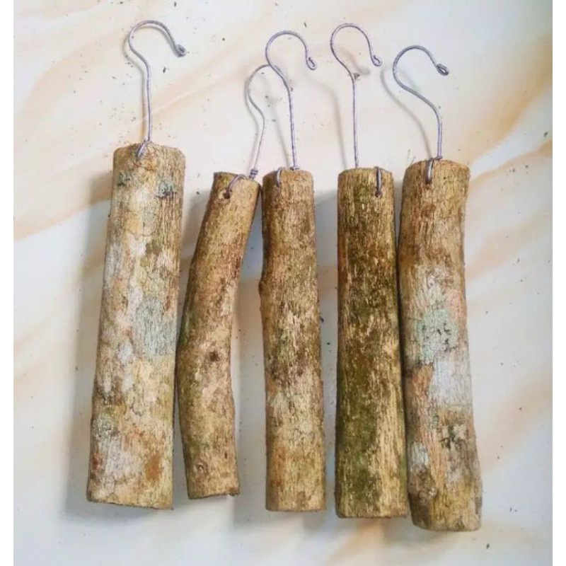 Media tanam anggrek kayu kopi - media tanam anggrek gantung kayu kopi