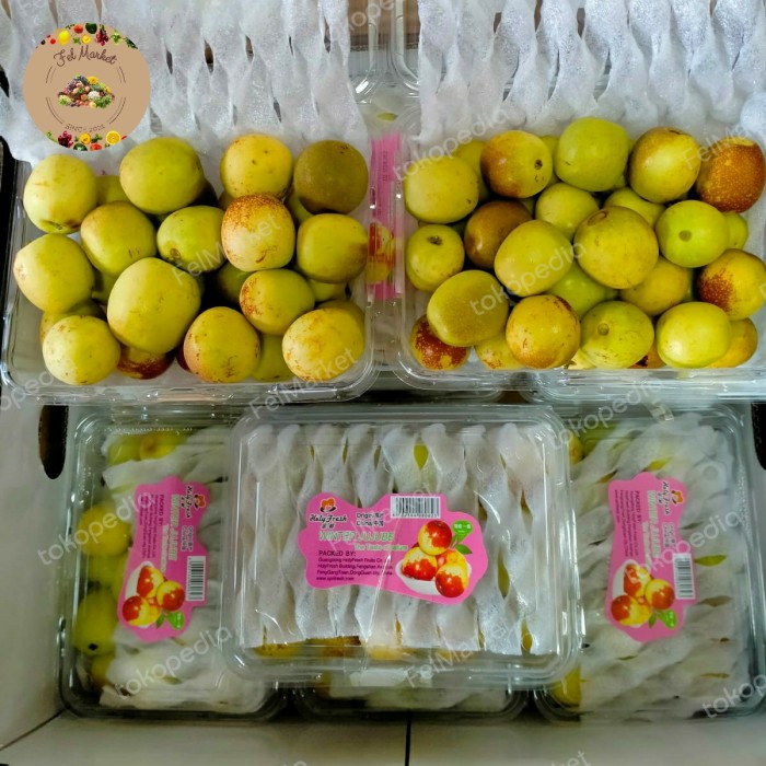 

buah angco fresh | buah jujube segar | 500 grm