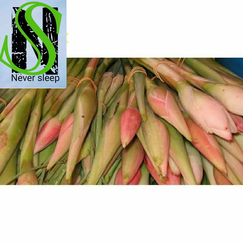 

Promo Bunga Kecombrang Sayur 1 kg