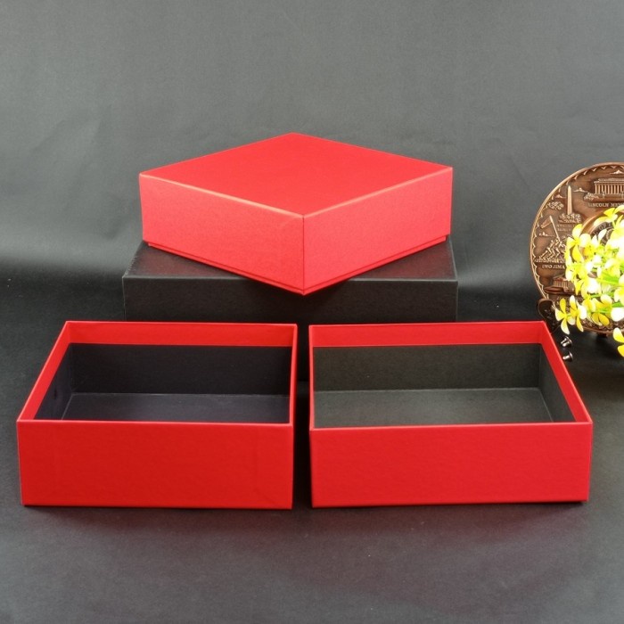 

Hardbox ukuran 20 cm x 20 cm x 7 cm - Hitam