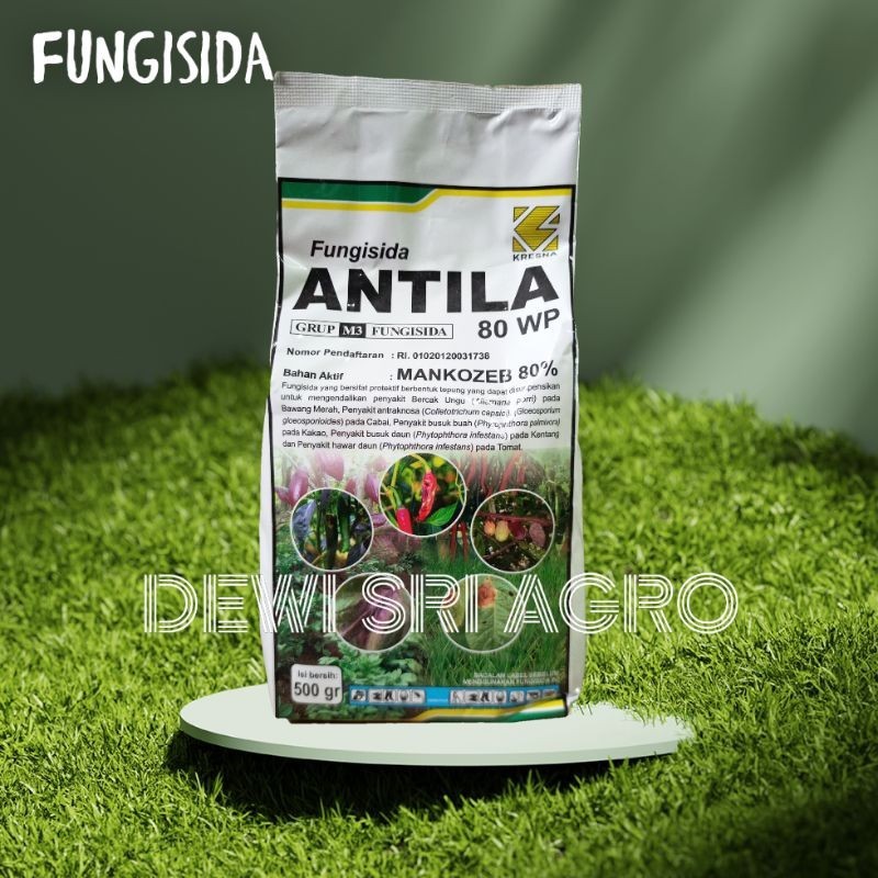 (COD) FUNGISIDA ANTILA 500 GRAM MENGENDALIKAN JAMUR PADA TANAMAN CABAI