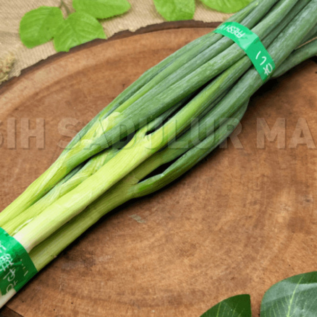 

Daun Bawang Seledri Jeruk Salam
