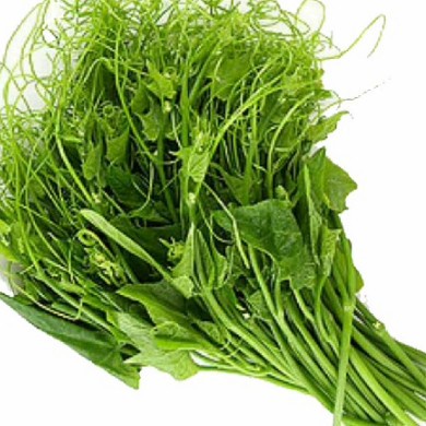 

puduk daun labu daun waluh