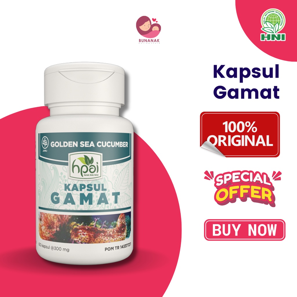 

GAMAT KAPSUL Ekstrak Teripang Emas Untuk Nyeri Sendi - HNI BPOM - Produk Herbal