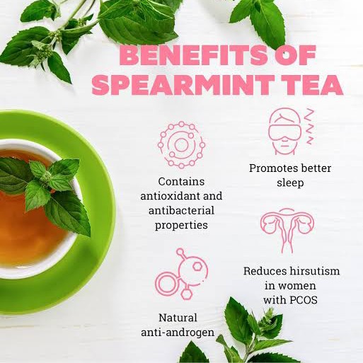 

✨PROMO✨ -Spearmint Tea : Teh daun spearmint (30 Tea Bag)
