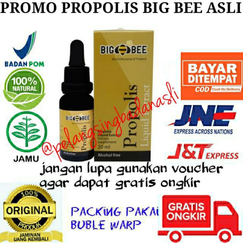 Propolis Big Bee Thailand Asli Propolis Big Bee Original Liquid Extract