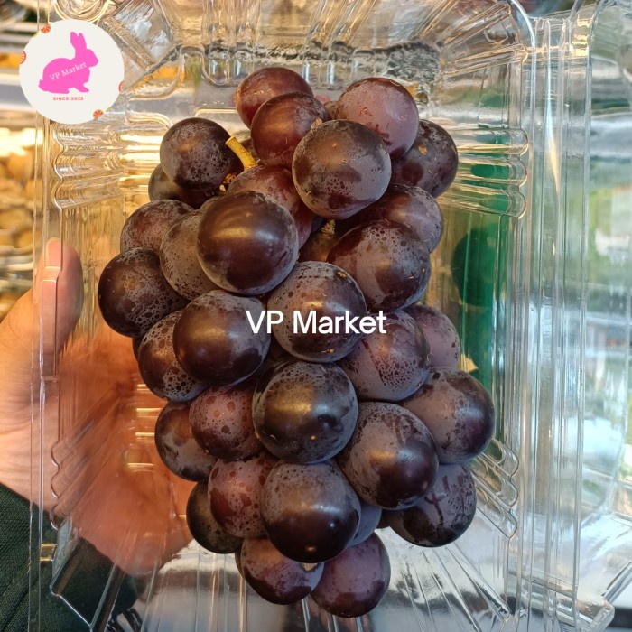 

Anggur Kyoho Fresh Import | Pack