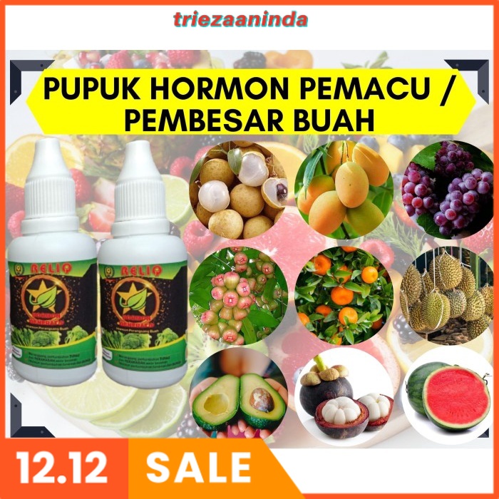 Hormon Tanaman Giberelin, Pupuk Hormon Giberelin GA3 Bunga dan Buah