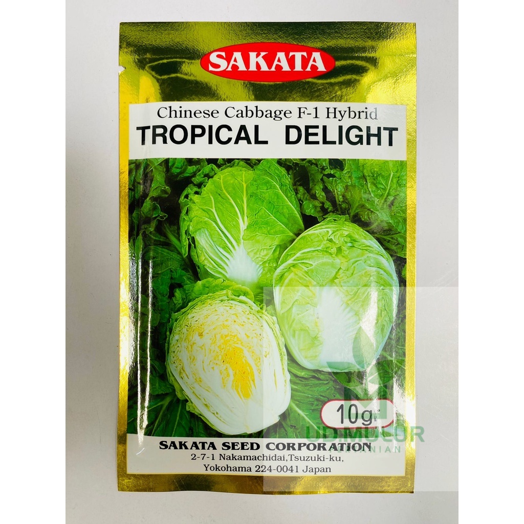 Benih sawi putih chinese f1 TROPICAL DELIGHT isi  10gr dr SAKATA