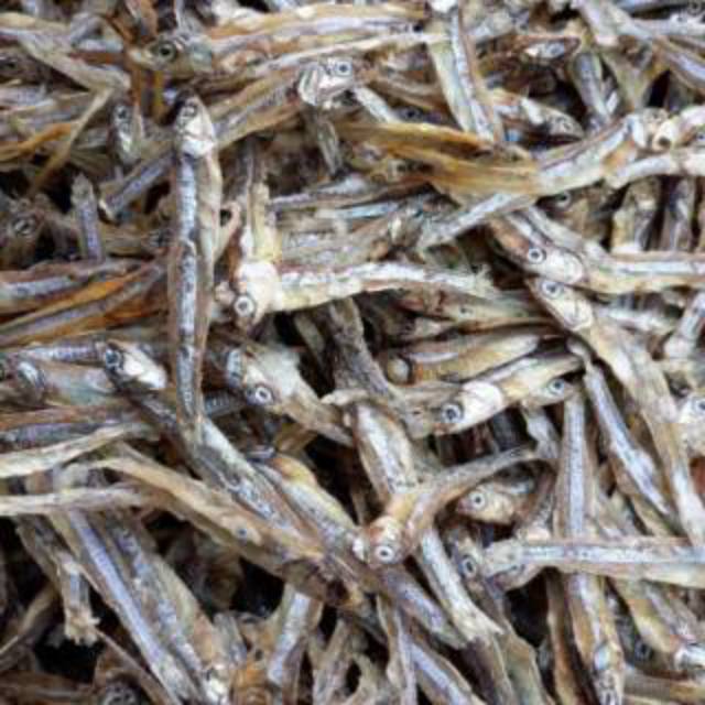 

INSTAN Teri Tawar Teri jawa Coklat Kering 100 gram
