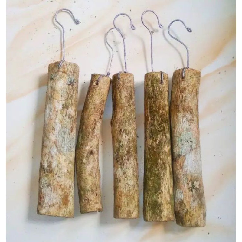 MEDIA TANAM ANGGREK KAYU KOPI - media tanam anggrek gantung kayu kopi