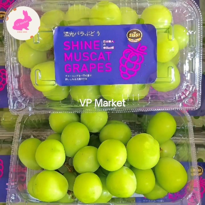 

Anggur Shine Muscat 500g | Anggur Muscat Hijau | Pack