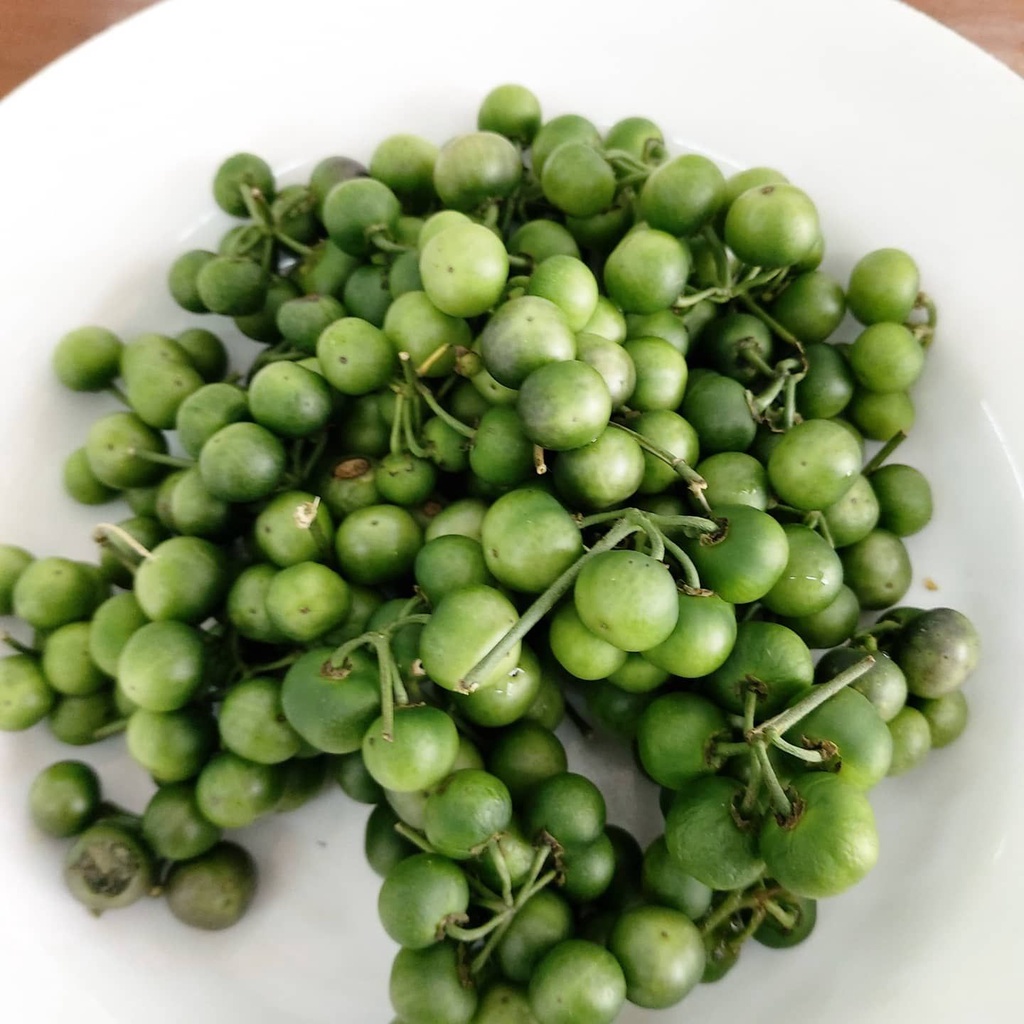 

Promo Promo buah takokak segar 500 gram